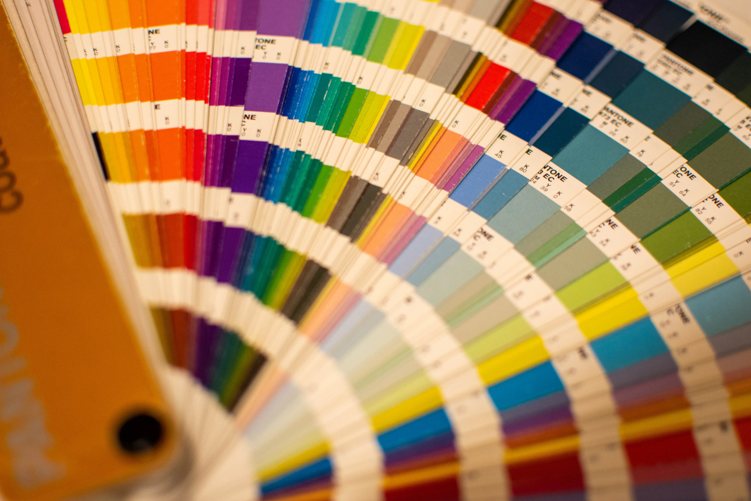 Richard Bell_1750815629573_unsplash_id_ca8lo4Q66Ac.webp